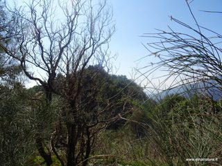 nte Rinatu-15-09-2019 10-24-30